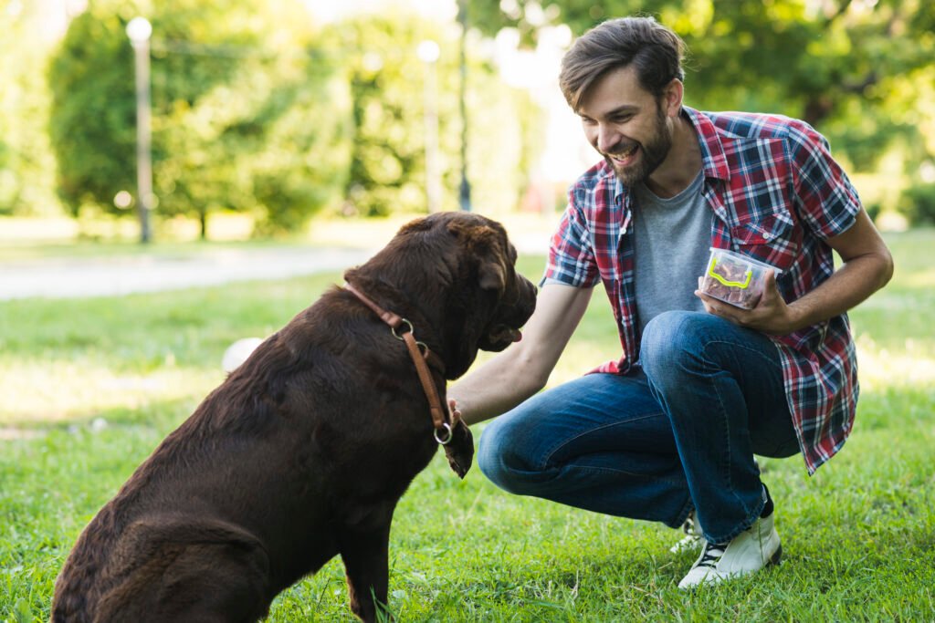 Pets Training and Behaviour