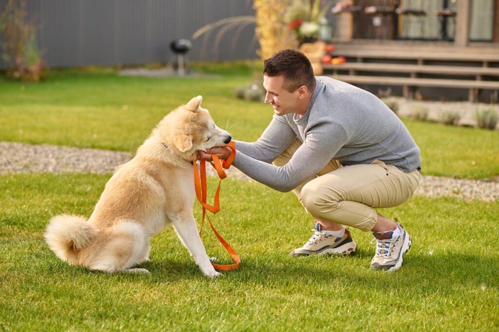 “pet behavior training tips” or “understanding pet behavior”
